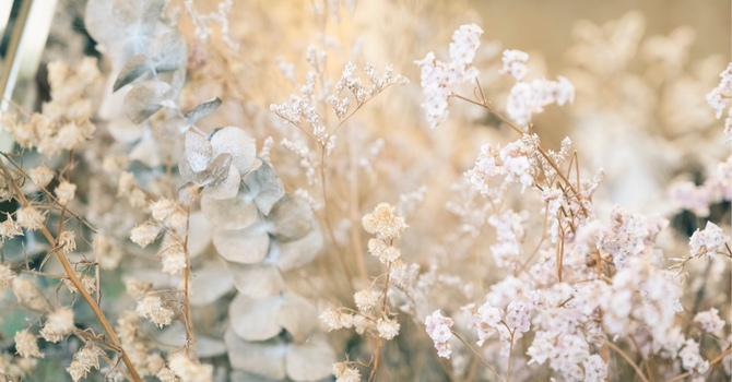 Appointment information