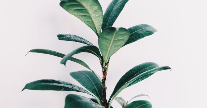 Appointment information