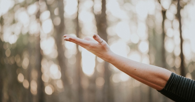 Appointment information